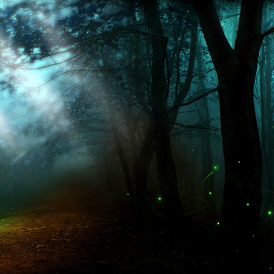 1920 x 1080 HD Wallpapers 160